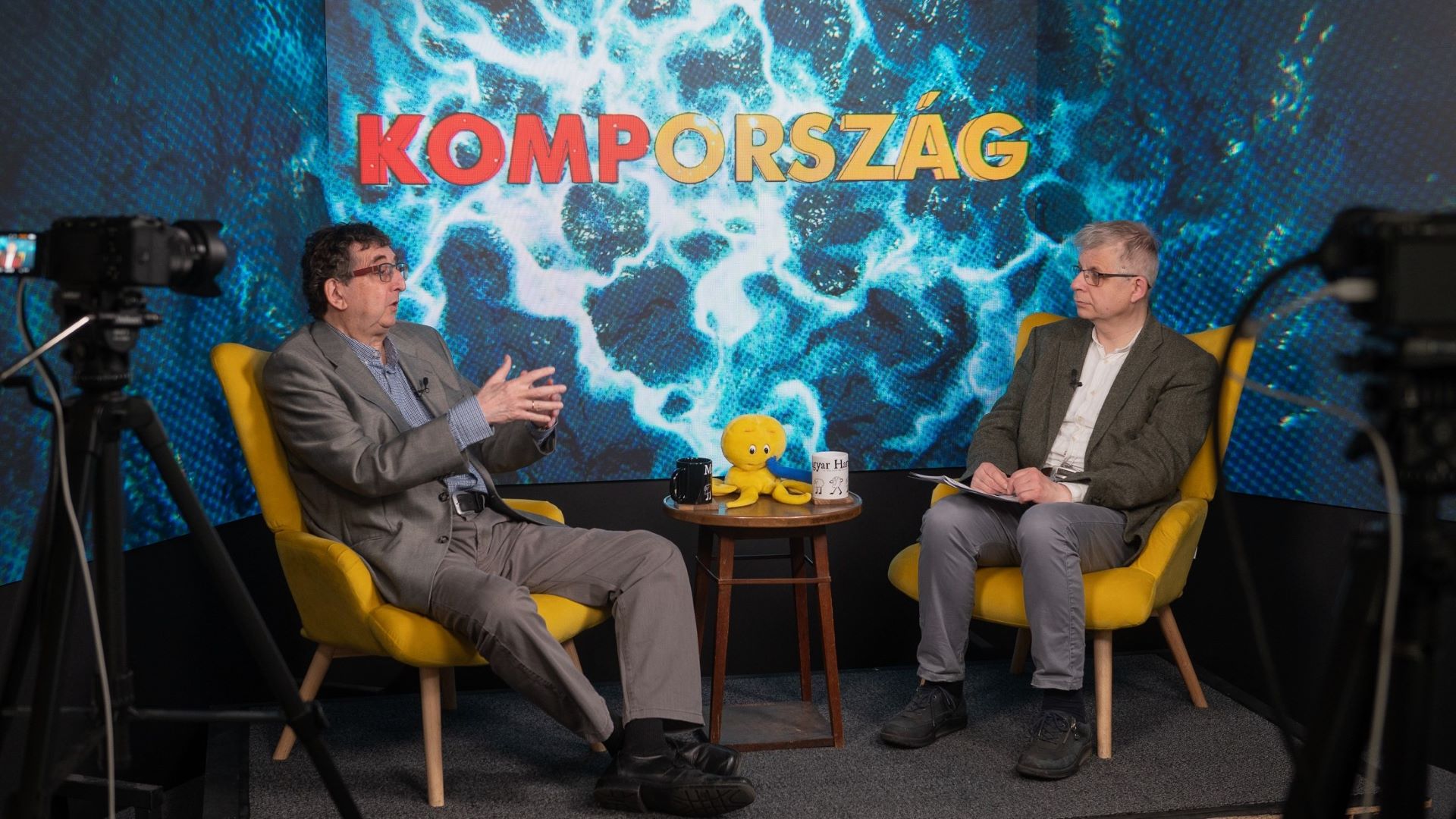 Csaba László: A gazdaság számai rosszabbak lehetnek a vártnál