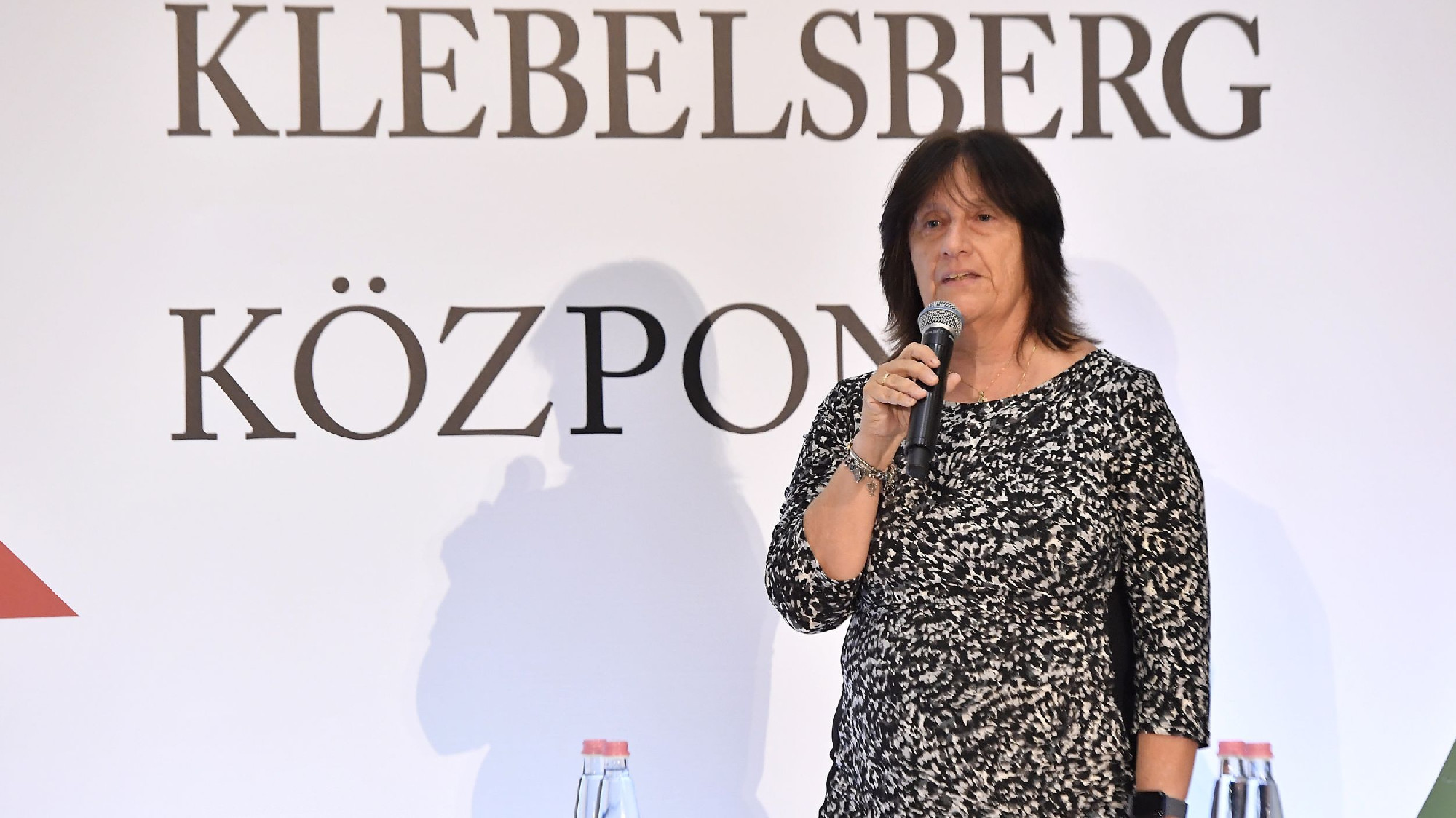 Nyugdíjba megy Hajnal Gabriella, a Klebelsberg Központ elnöke